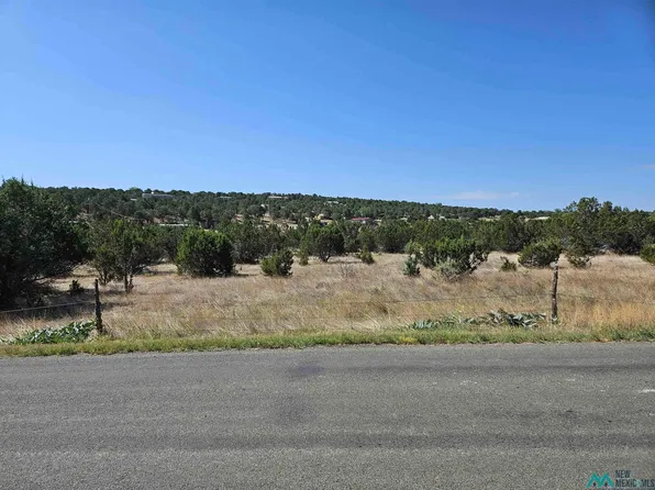 203 Long Rd, Capitan, NM 88316