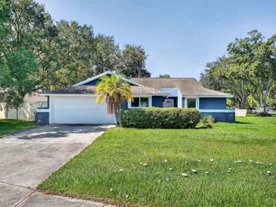 5388 Black Pine Dr, Tampa, FL, 33624