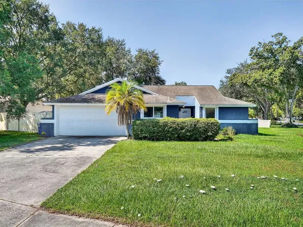 5388 Black Pine Dr, Tampa, FL 33624