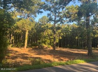 471 White Chapel Rd, Carriere, MS 39426