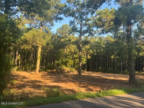471 White Chapel Rd, Carriere, MS 39426