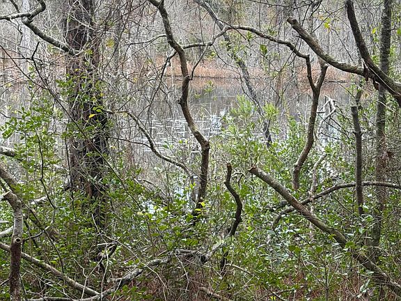 5th image of X Blue Ridge Blvd