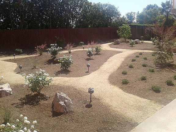 new xeroscaped backyard