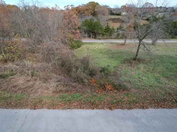 10 Rodeo Lane, Ava, MO 65608