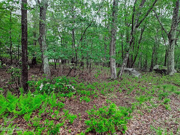 3rd image of 102 Rodney Rd