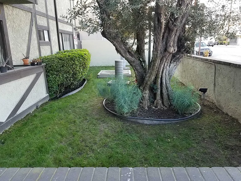 Moorpark St — Photo 6
