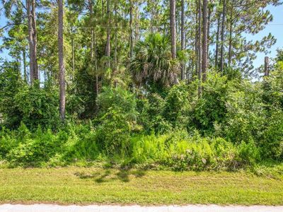 102 Bayside Dr #1250, Palm Coast, FL, 32137