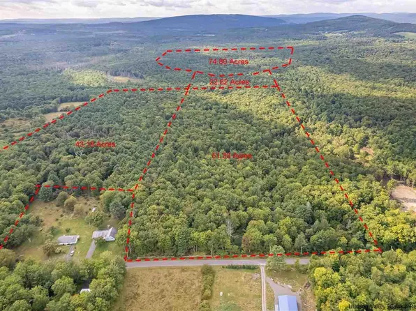 Tbd Brown Road, Ellenville, NY 12428