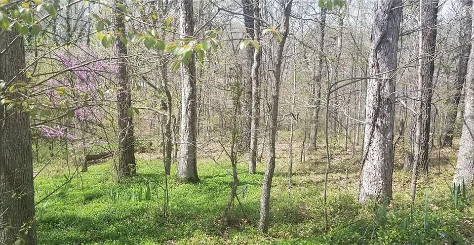 1st image of 3 Kemble Cir