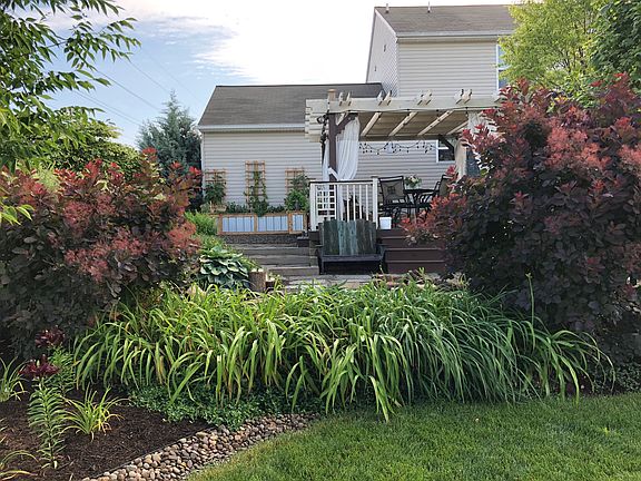 Back yard toward the house.