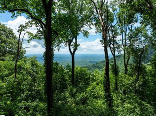 22 Raven Rd, Landrum, SC 29356