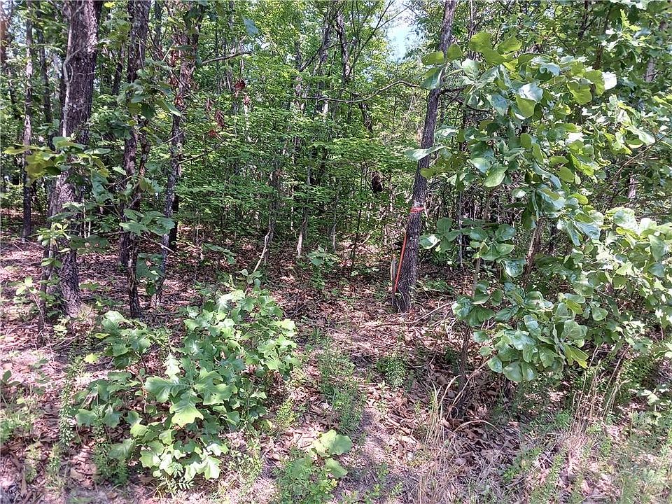 2nd image of 21 Apache Point Dr