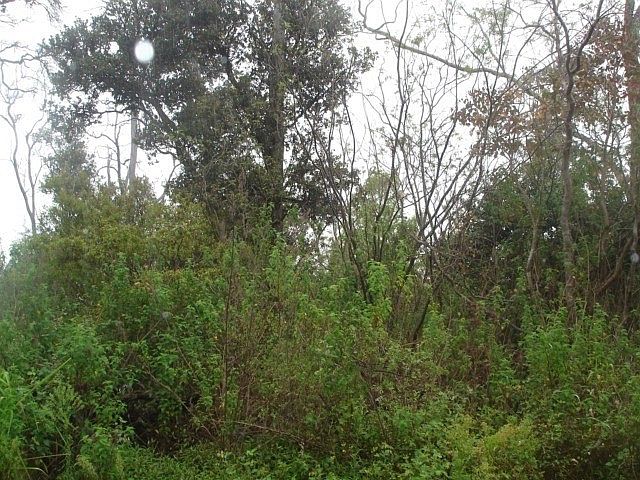 1st image of Kona Dr Lot 7