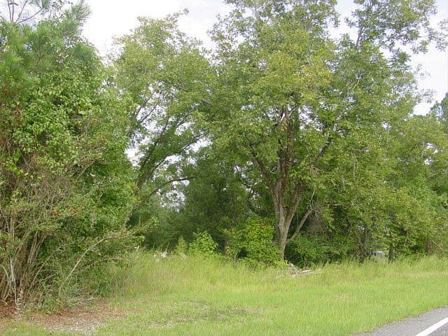 2nd image of 7001 Layfield Rd