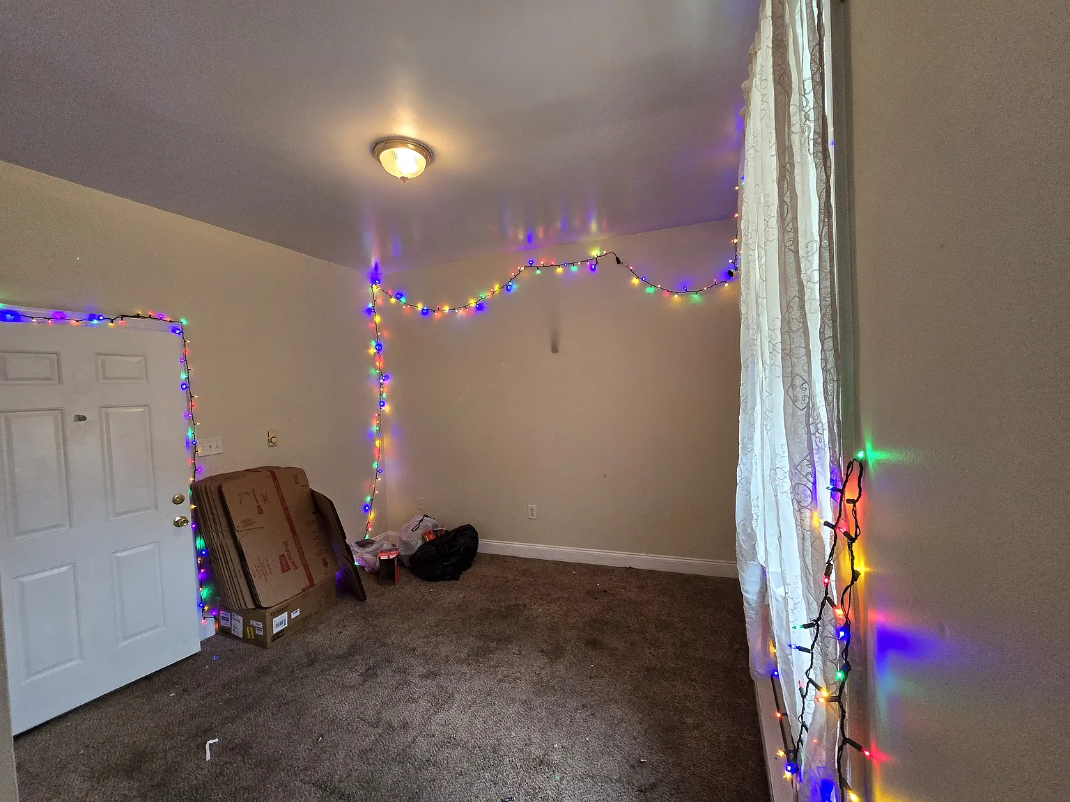 1 bed, $995 — Photo 2