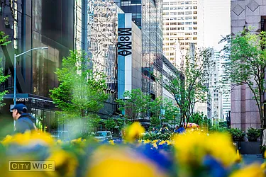 Rented by City Wide Apartments