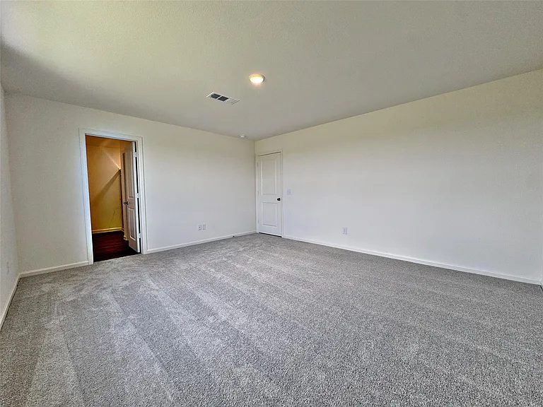 8431 Vacek Crossing Way — Photo 33