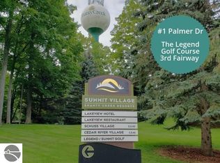 1 Palmer Dr, Bellaire, MI 49615