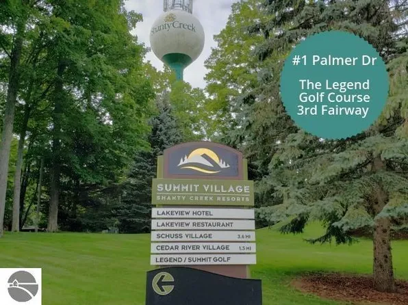 1 Palmer Dr, Bellaire, MI 49615