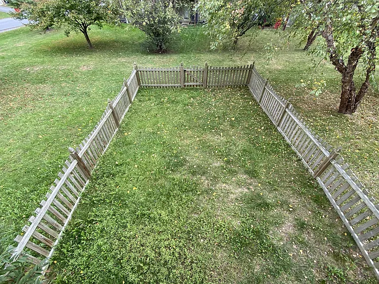 Fenced Back Yard