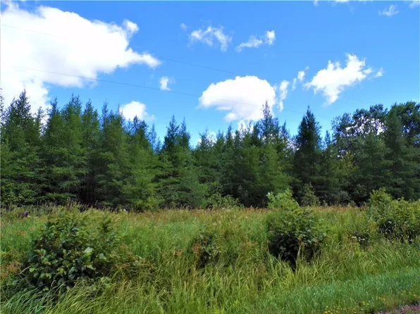 36.97 Acres Sunfish Lake Road, Ladysmith, WI 54848