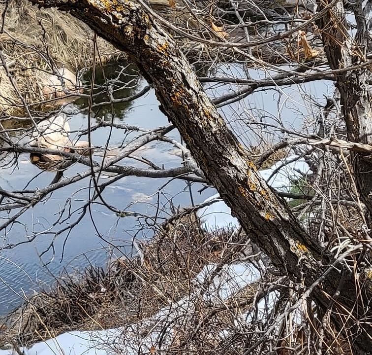 1st image of 21460 Highway 96