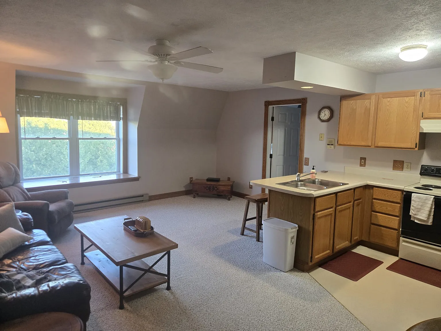 1 bed, 725 sqft, $1,250 — Photo 4