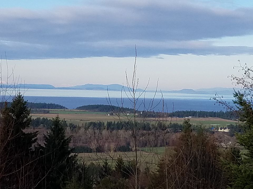 Looking North/NorthEast