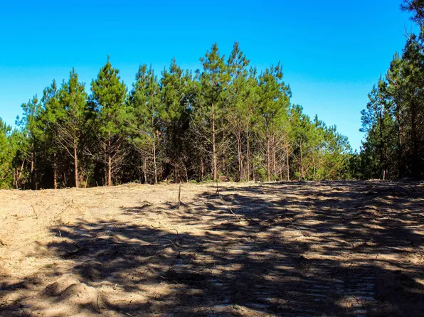 1 County Road 197 #0, Winfield, AL 35594