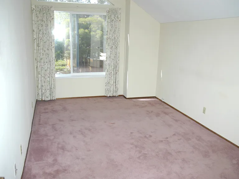 314 Pine Wood Ln — Photo 7