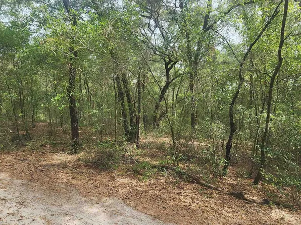 Helen Pl, Hawthorne, FL 32640