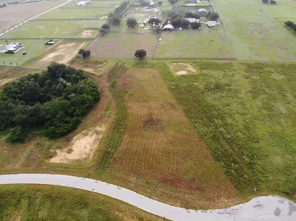 10023 WHITE EGRET DRIVE LOT 88, THONOTOSASSA, FL 33592