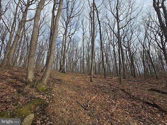 5th image of PARCEL 22 Sams Creek Rd