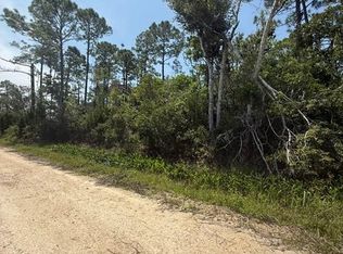 LOT 3 5th St NW, Steinhatchee, FL 32359