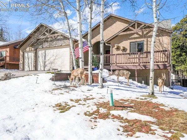 1116 Ptarmigan Dr, Woodland Park, CO 80863
