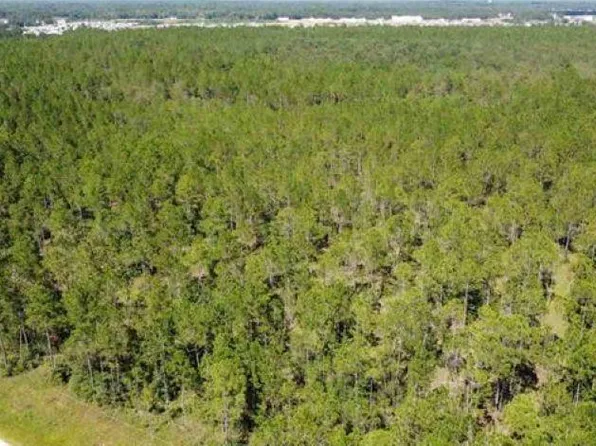 TRACT 3 Whispering Pines Dr, Lumberton, TX 77657