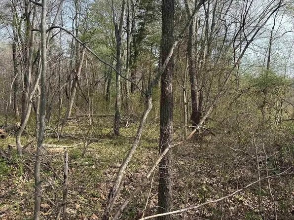 0 Walnut Rd, Boaz, KY 42027