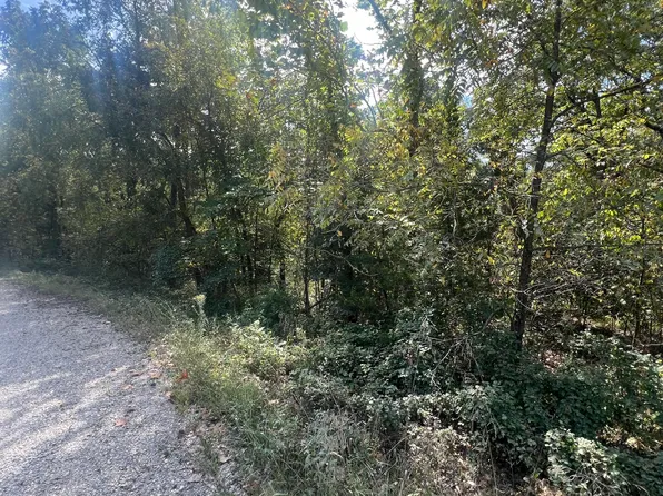 (undisclosed Address), Niangua, MO 65713