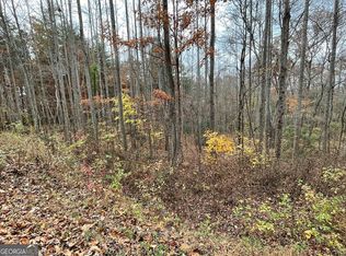 20 Hamilton Rd, Blairsville, GA 30512