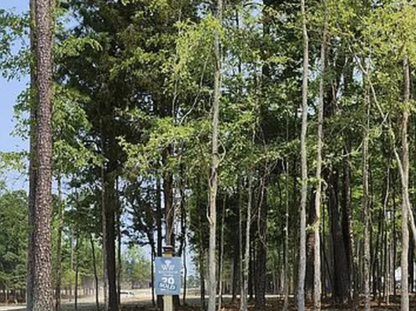 1005 Refuge Pl Lot 20, Chapin, SC 29036