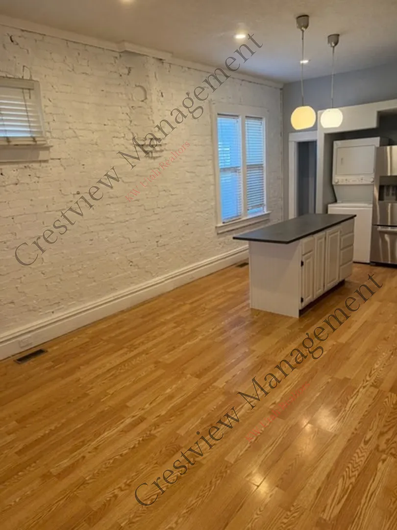 Roche Duplex — Photo 4