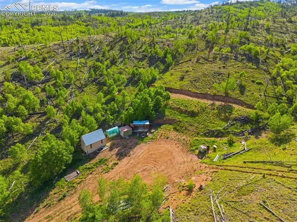 77 Lakeview Cir, Florissant, CO 80816