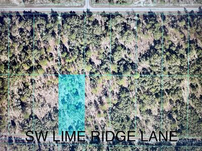 SW Limeridge Ln Lot 35, Dunnellon, FL, 34431