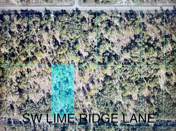 SW Limeridge Ln Lot 35, Dunnellon, FL 34431