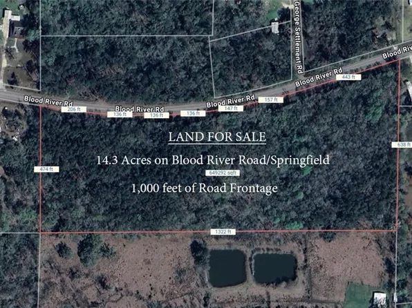 Blood River Rd, Springfield, LA 70462