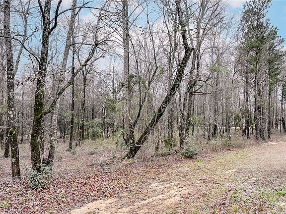 5th image of 0 Willis Turk Rd