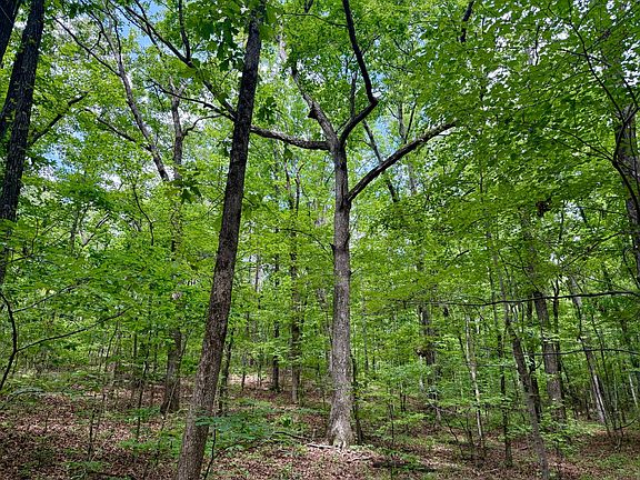 5th image of 0 Calhoun Rd