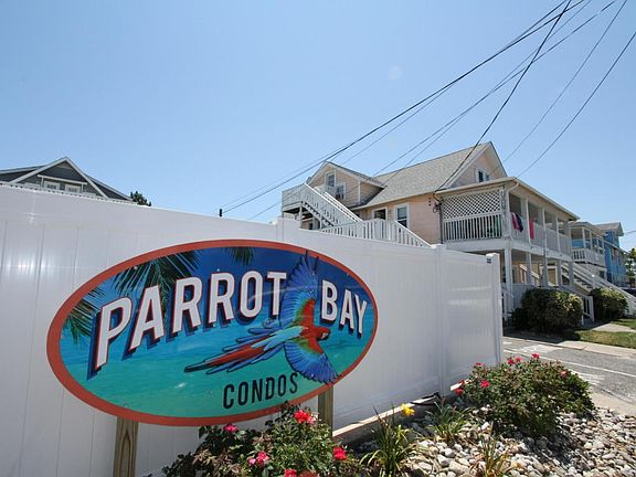 Parrot Bay # 13 003