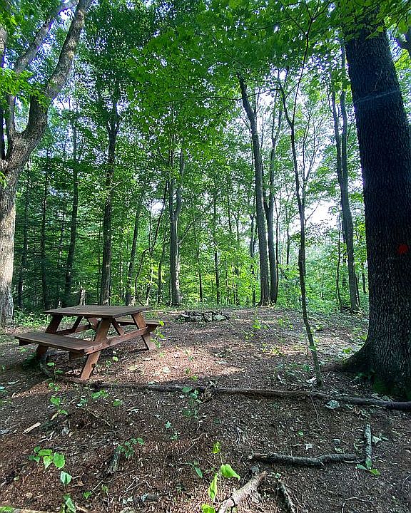 2nd image of 3672 Laurel Creek Rd