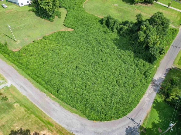 75 County Road 1123, Vinemont, AL 35179